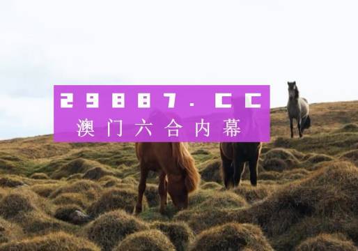 澳门新开奖今晚揭晓，开奖结果及记录深度解析